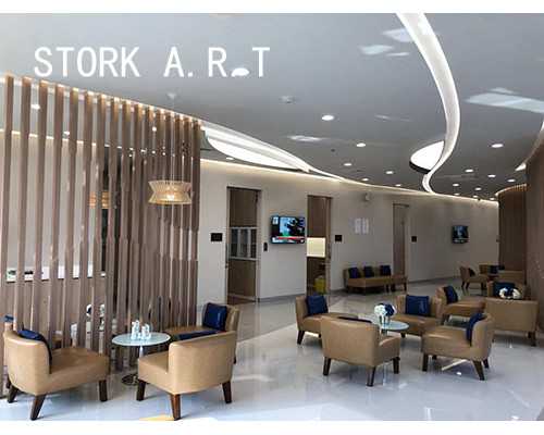 云南试管代孕医院名单|广西需要供卵：南宁有供卵中心吗