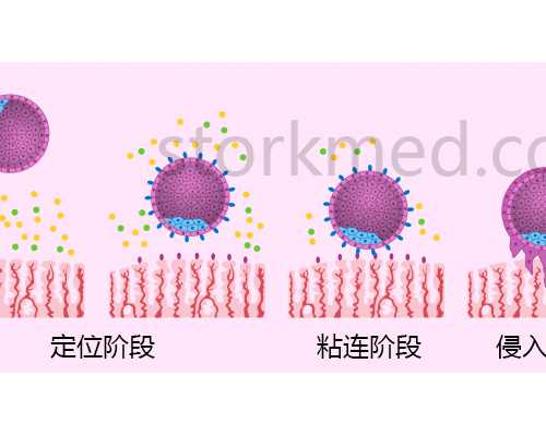 无锡靠谱代生机构 无锡市妇幼保健院价格 ‘孕囊1.6*2.6是男孩还是女孩’