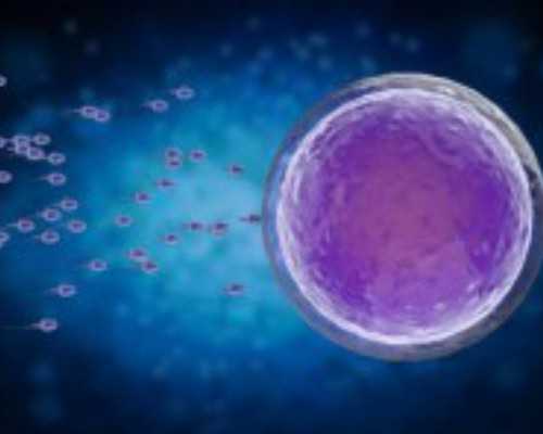 云南包成功代孕套餐|石家庄三代试管供卵机构（东营做试管婴儿多少钱）