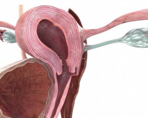 梅毒、淋病诊疗指南