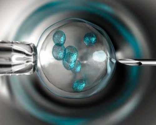 昆明供卵试管医院排名，成功率及费用是多少?