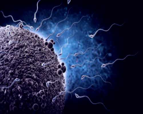 昆明代孕的费用多少钱|试管婴儿移植后,这些千万不要做!