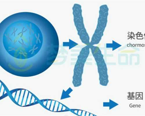 昆明哪间医院做试管最(昆明试管正规医院)