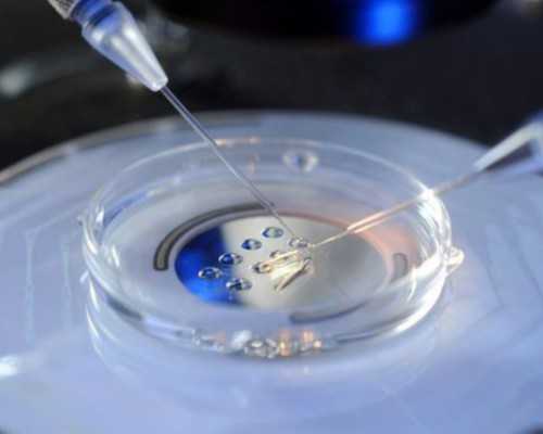 昆明代生的过程,昆明试管婴儿多少钱呢，医院收费92520元