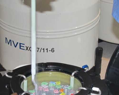 昆明代怀网费用问题,试管要做唐筛吗-上海供卵试管医院吗-月经周期、卵泡期及