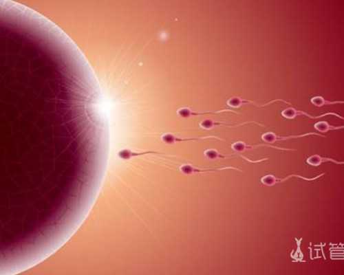 昆明有哪些最出名的三代试管私立医院？?,2023
昆明私立供卵机构排名新鲜出炉