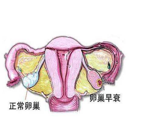 济南哪有代怀女人 济南省妇幼保健院做试管怎么样?一次供卵试管费用多少? ‘