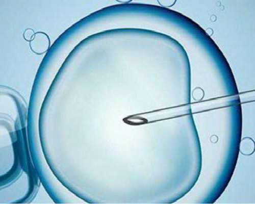 昆明哪里有代怀生儿子_威海供卵三代试管（供精三代试管婴儿）