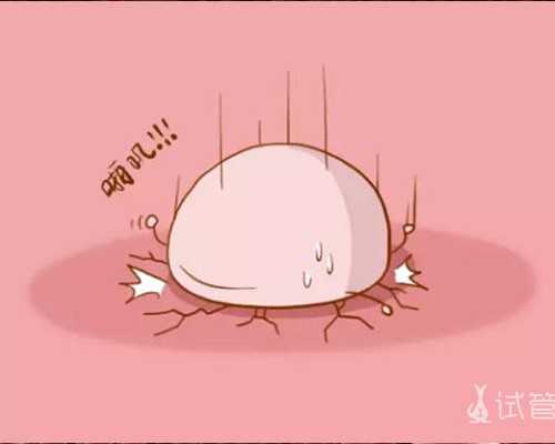 昆明包生代生 2022昆明最好的生殖科医院-内附成功率及费用一览 ‘24周彩超男女