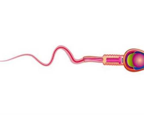 昆明代孕包成功机构,入院后试管手术全麻还都需要检查什么？-供卵怀孕是怎么