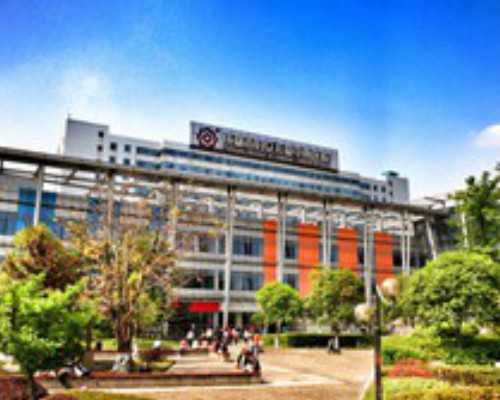 云南供卵生男孩|试管双胞胎的弊端?试管怀龙凤胎是什么感受?甜蜜的负担