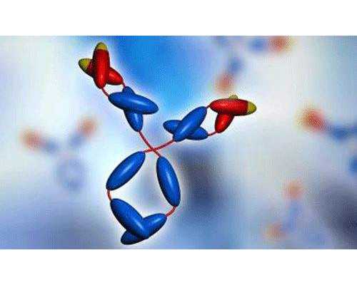 昆明5A代孕网 2022昆明纵隔子宫做试管一次成功医院名单 ‘nt值0.16cm是男还是女