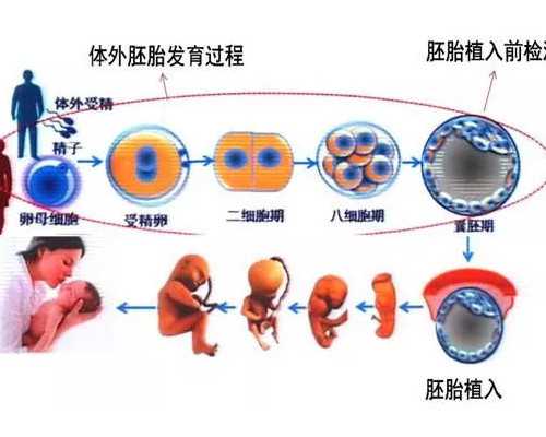 西安急找代怀妈 2022西安试管婴儿医院排名，附试管婴儿成功率和费用一览 ‘怀