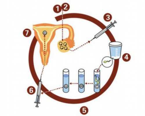昆明代孕生子套餐,做试管婴儿移植前吃什么才能调理内膜厚度,提高试管成功