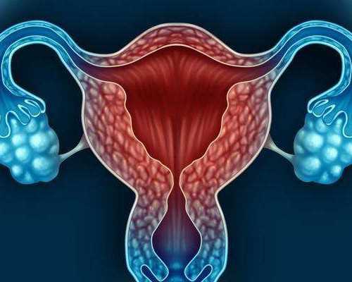 昆明专业代孕价格_不管女性年龄多大都可以做试管婴儿吗?