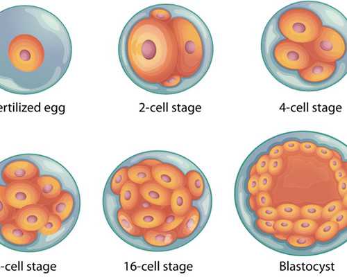 昆明代孕生殖中心真假_去俄罗斯做试管婴儿是什么流程?移植怀孕后怎么保胎