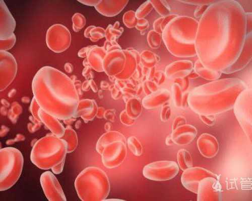 无锡生殖中心成功率 无锡101医院试管婴儿费用你的钱花对了吗？ ‘怎么在b超上