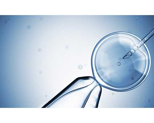 昆明安琪儿试管成功率,昆明哪家医院做试管好