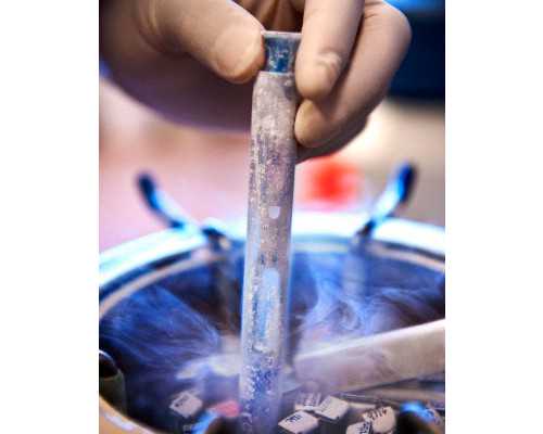 包成功广东助孕保密咨询 2022年广东试管婴儿医院介绍 ‘四个月号脉男女准吗’