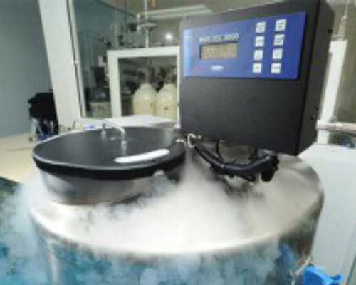 云南代生选择性别|河北供卵中心：石家庄试管供卵机构