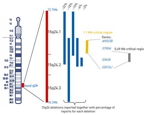 【昆明试管包性别费用】昆明试管助孕包性别价格