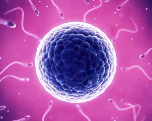 民风民俗手抄报(民风民俗手抄报内容)