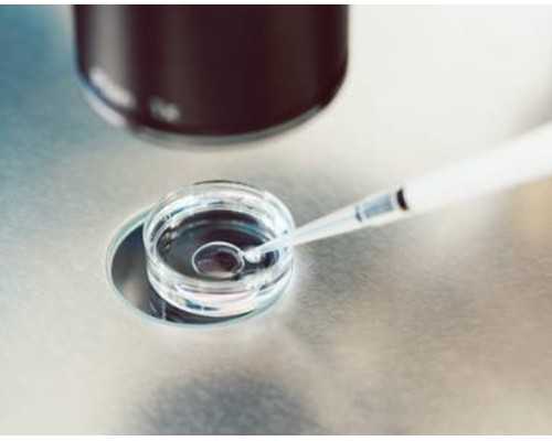 “儿子,离婚没问题。请清楚地考虑这三件事