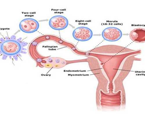 无锡捐卵供卵哪里有 无锡妇幼保健院试管婴儿多少钱？试管婴儿花销在哪些方