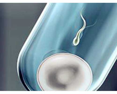 昆明代怀公司比较,云南昆明做试管多少钱一次?_在上海找供卵去哪里