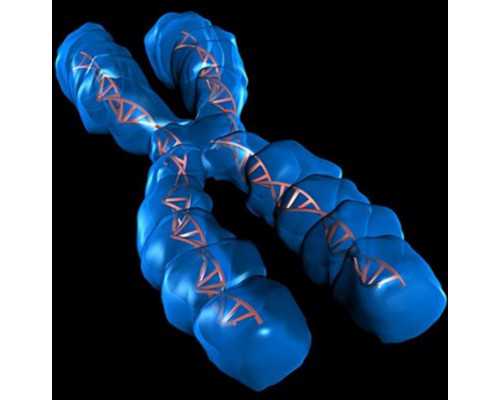 云南试管代孕供卵医院|石家庄多囊肾三代试管成功率高吗-正规试管供卵医院