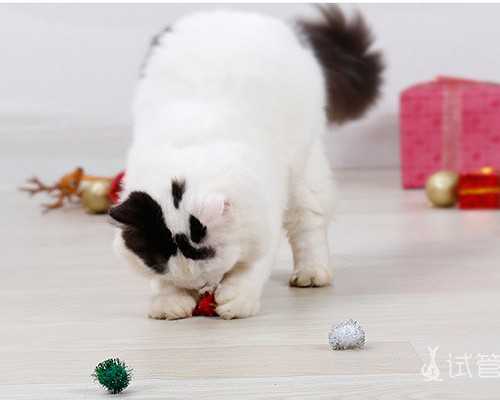 云南公立试管代怀|福州供卵试管_正规助孕平台