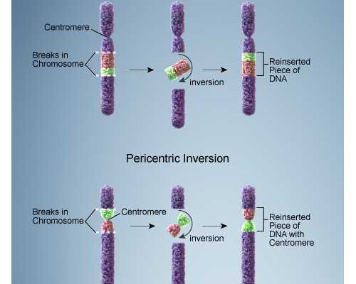 让宝宝乖乖吃饭的10个绝招