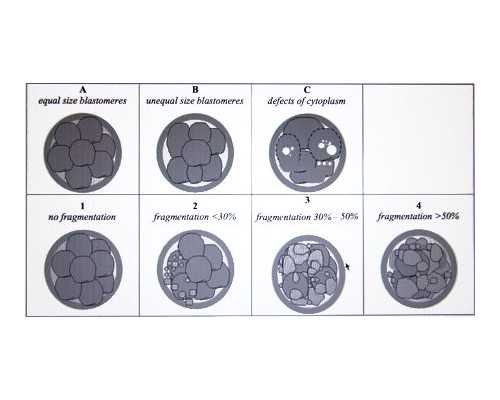 昆明生二胎找供卵,昆明第三代试管婴儿医生专家推荐，怎么选择？