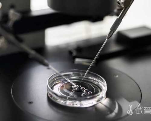 昆明代生要配血型吗,昆明正规医院供卵试管费用明细，一般家庭也承担得起