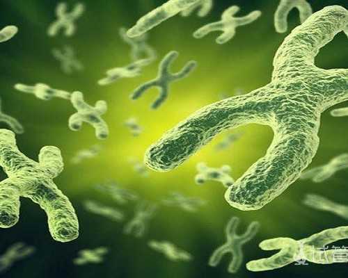 云南做代孕靠谱吗|辽宁省试管助孕费用明细附提高试管婴儿成功率的方法介绍