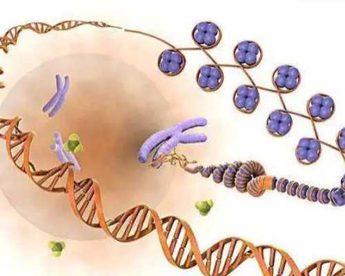 为什么昆明3至11岁小孩都打昆明生物?,“全面二孩”时代到来,昆明还缺啥?
