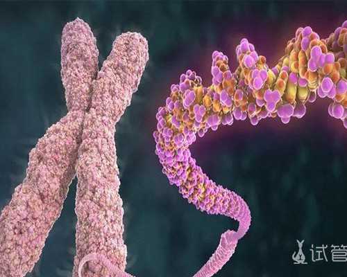 昆明公立供卵,林志玲“三代试管婴儿”拼做人，有望明年升格当妈_试管婴儿三