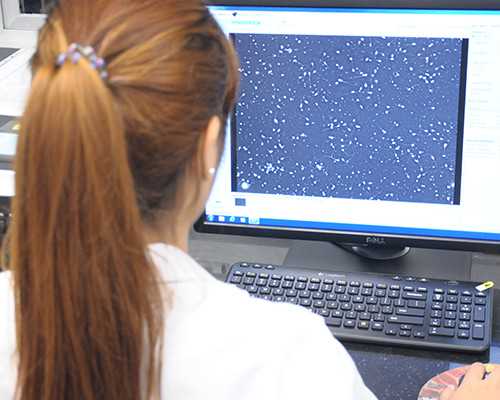 昆明三代试管代孕医生机构_试管婴儿备孕过程中男性也需要补充叶酸吗?