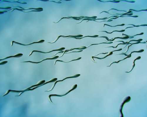 昆明三代试管助孕孩子-昆明辅助生殖中心