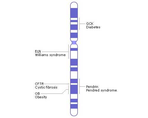 云南代生孩子价钱|湖南襄阳医院做试管能做儿子吗？生儿子的秘诀来学学