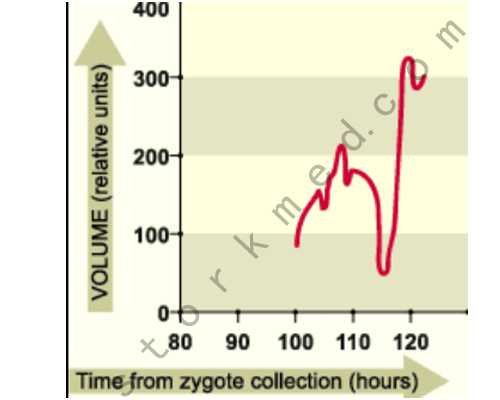 <strong>云南找代生宝宝|九江市妇幼保健院做试管婴儿需要结婚证吗?</strong>