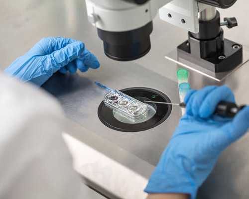 昆明代孕捐卵 2022昆明供卵试管包生男孩医院清单 ‘双顶径偏小是女宝宝吗’