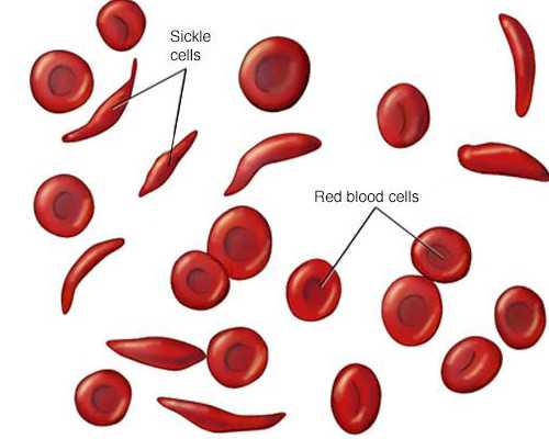 云南找代孕医院|正式爆料!石家庄助孕成功率是多少?
