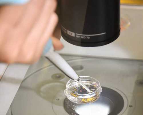 云南正规供卵中心|通辽试管-第三代试管婴儿成功率有多少?高不高