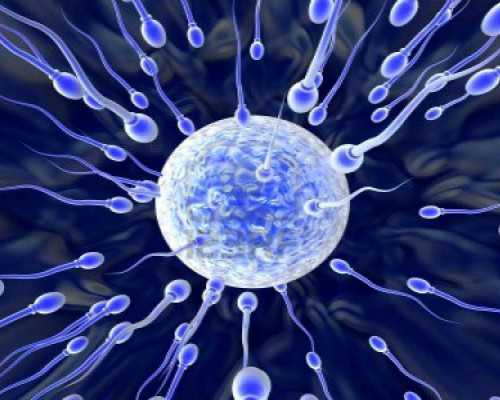 云南试管代怀生子|云南做试管的哪个医院好(东北哪家医院做三代试管好)