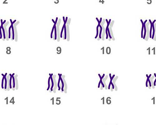 昆明大学人民医院做试管婴儿取卵打麻药需要花多少钱?