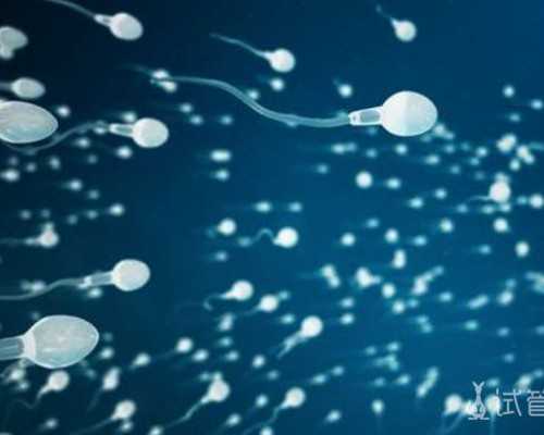 找昆明代生公司 昆明做宫腔镜大概多少钱?有哪些影响因素? ‘双顶径和心率