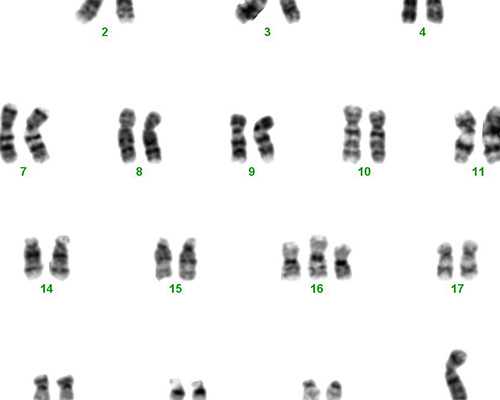 云南医院试管供卵|吉林省获批开展“第三代试管婴儿”技术