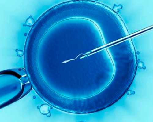 云南做试管很受罪|临沂试管婴儿医院名单大全(附试管婴儿费用、成功率、医院