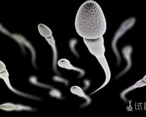 云南代怀医院在哪|石家庄试管供卵机构有哪些,河北石家庄最好的供卵机构推